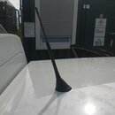 IMG_20200305_125531.jpg