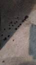 IMG-20200428-WA0058.jpeg
