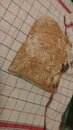IMG-20200524-WA0002.jpeg