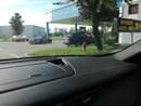 IMG_20200618_173711.jpg