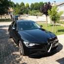 Giulia2.jpg