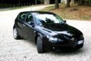 alfa3.jpg