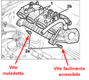 viti collettori.png