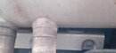 20200720_063458.jpg