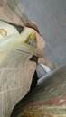 IMG-20200619-WA0008.jpg
