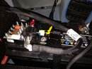 IMG_20200810_073439.jpg