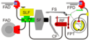 220px-Impianto_frenante.svg.png