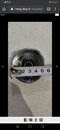 Screenshot_20200927_120147_com.android.chrome.jpg