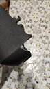 IMG-20201125-WA0037.jpeg