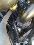 IMG_20210116_112620.jpg