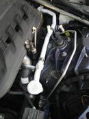 IMG_20200815_193052.jpg