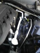 IMG_20200815_193055.jpg