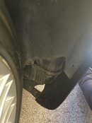 IMG_20210307_110451.jpg