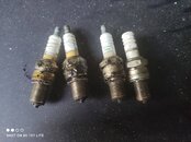 IMG_20210318_162330.jpg