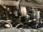 F733A0CA-520F-467D-955E-66E51ECDEF97.jpeg