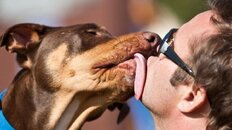 farsi-leccare-il-viso-dal-cane-e-pericoloso_937405.jpg