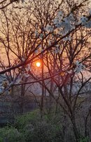 20210326_063853.jpg