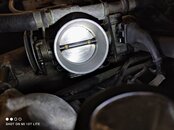 IMG_20210328_091027.jpg