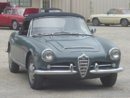 giulia spider.jpg