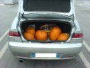 DSC00014.JPG