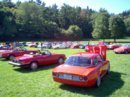 alfa-gtv-v8-13.jpg