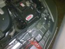 Alfa.106.jpg