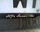 156-t-spark-albums-mia-alfa-picture300t-targa3.jpg