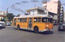 12907-_Filobus_Alfa_Romeo_1000_Aerfer_8010.JPG