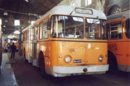 16763-_Filobus_Alfa_Romeo_1000_Aerfer_8073.JPG