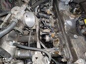 IMG_20210402_132818.jpg