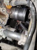 IMG_20210402_132824.jpg