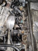 IMG_20210402_143055.jpg