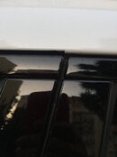IMG_3019.jpg