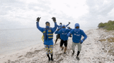 200.gif