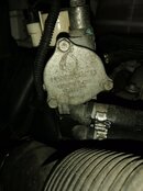 IMG_20210429_201127.jpg