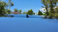 20210612_105654.jpg