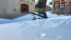 20210612_105901.jpg