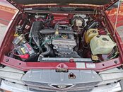 IMG-20210625-WA0020.jpg
