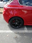 IMG_20210626_103427.jpg