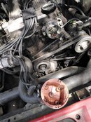 IMG_20210811_120624.jpg