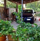 20210820_122119~3.jpg