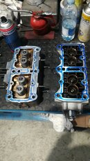 IMG-20210313-WA0011.jpeg
