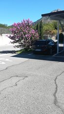 IMG_20210822_102453.jpg