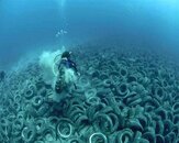 Florida's 'Tire Reef' Has Turned Into an Environmental Disaster.jpg