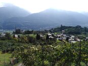 IMG_20211009_140156.jpg