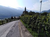 IMG_20211009_141052.jpg