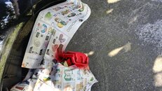 IMG_20211012_124337.jpg
