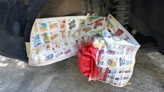 IMG_20211012_124317.jpg