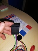 IMG_20211016_185258.jpg