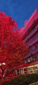 20211029_184356.jpg